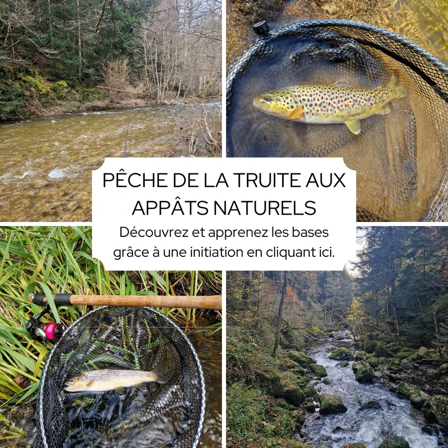 peche-appat-naturels