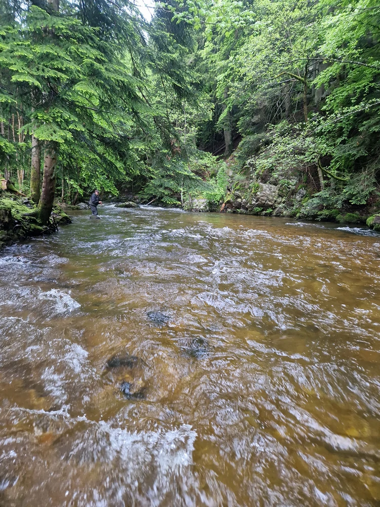 riviere-dunieres